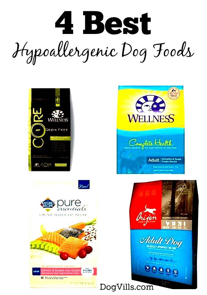 best hypoallergenic foods for dogs