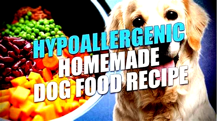 best hypoallergenic homemade dog food