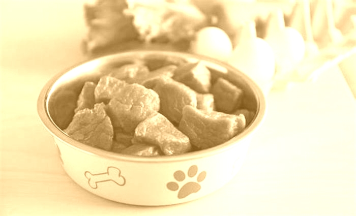 best raw food for hypoallergenic dog