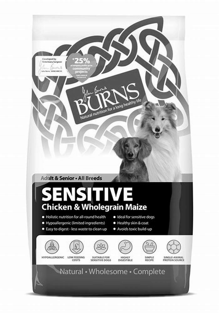 best senior dog food for sensitive skin