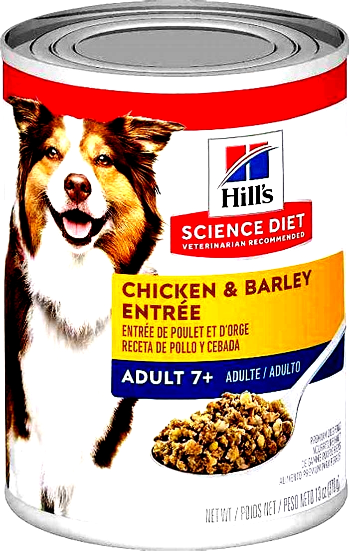 best senior dog food vet recommended