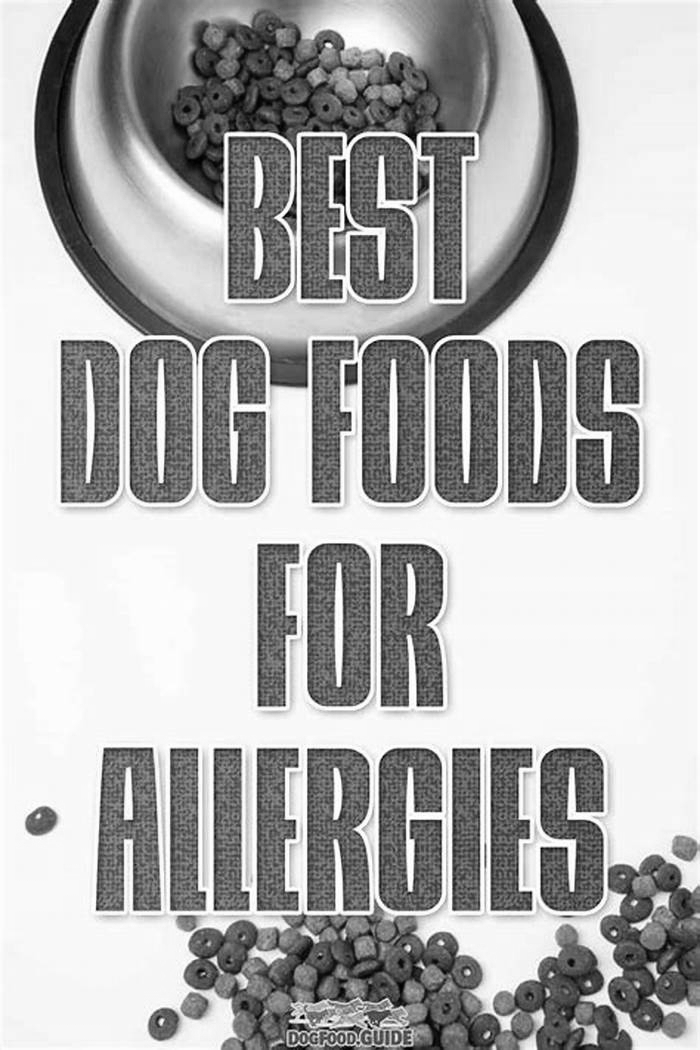 best store bought dog food for allergies