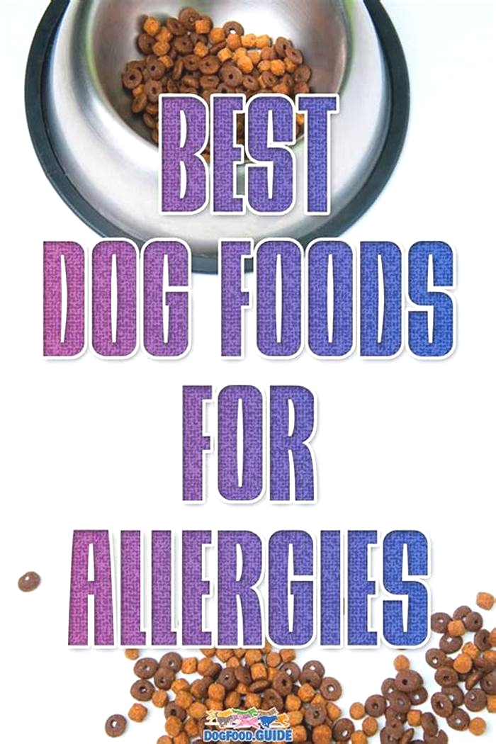 best vet recommended dog food for allergies