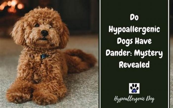 do hypoallergenic dogs have dander