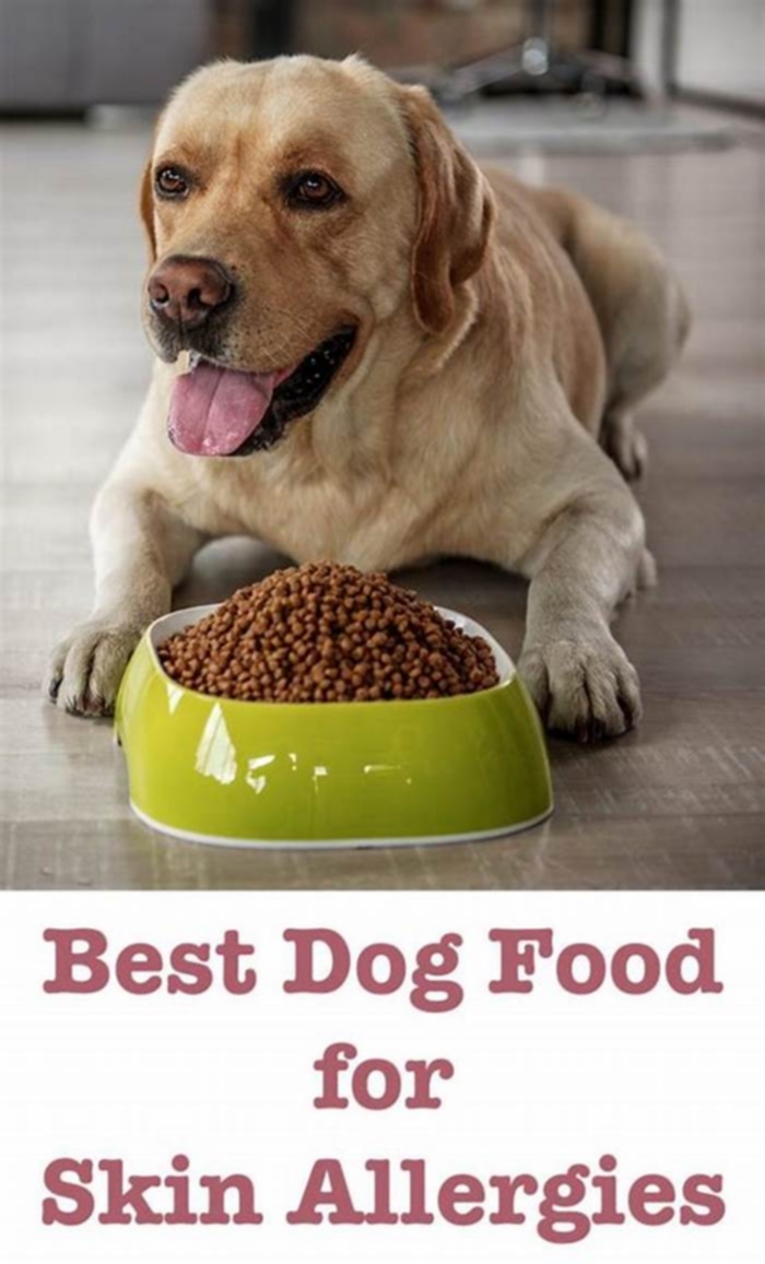 dog allergy friendly food