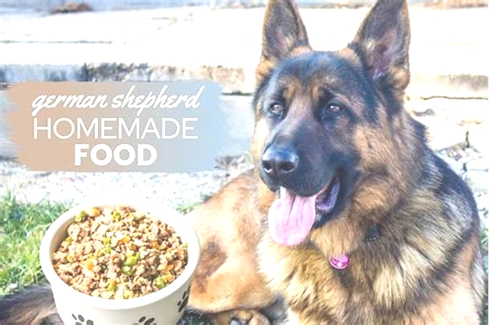 dog food for german shepherd with allergies