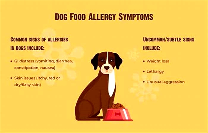 food allergy dog vca