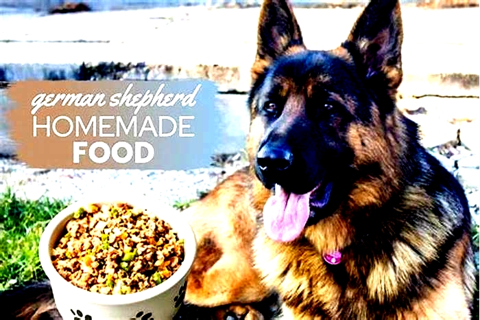 food for german shepherd with allergies