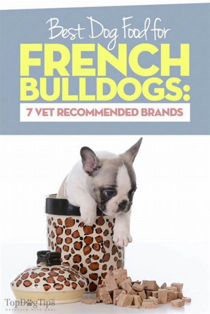 good dog food brands for french bulldogs