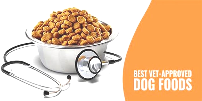 healthiest dog food recommended by vets