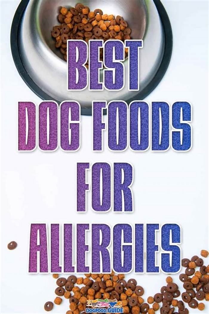 healthy food for dogs with allergies