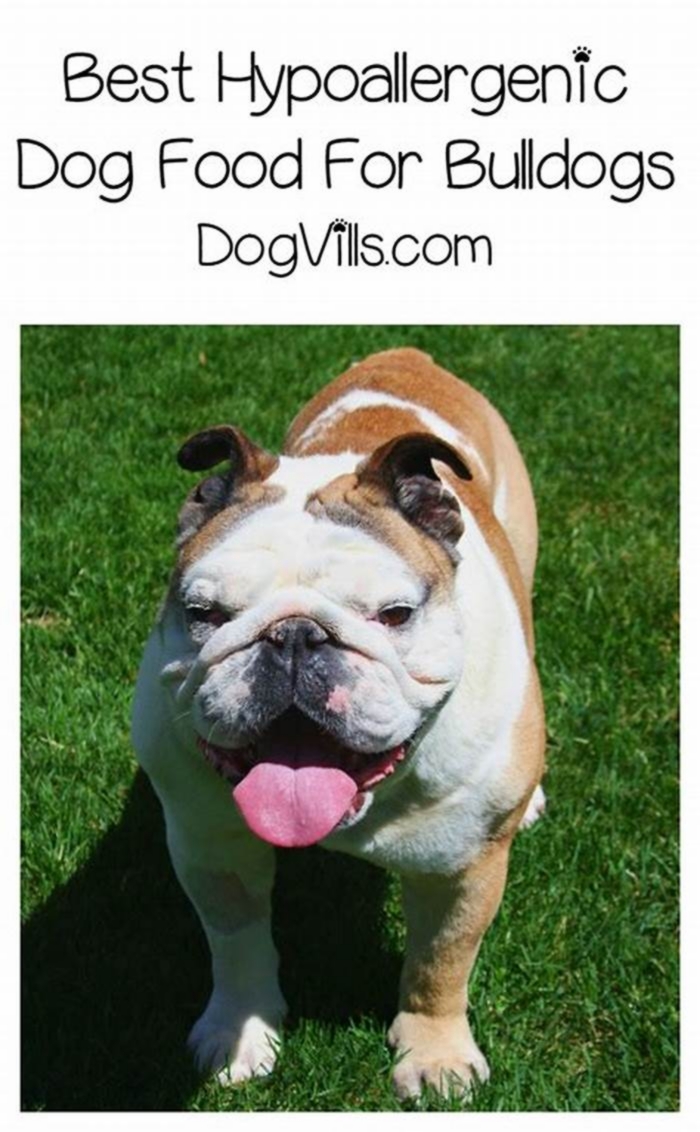 hypoallergenic dog food for bulldogs