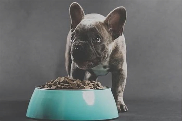 hypoallergenic dog food for french bulldogs