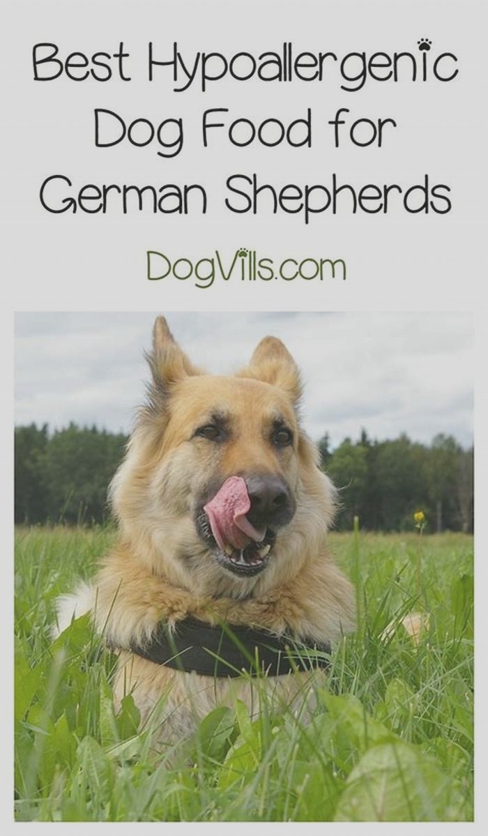 hypoallergenic dog food for german shepherds