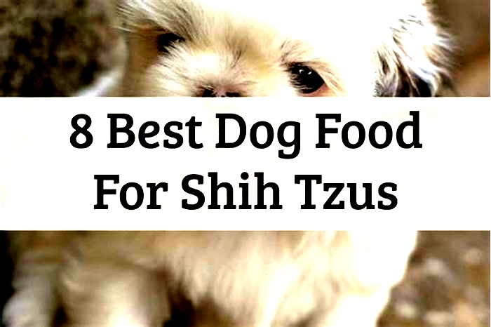 hypoallergenic dog food for shih tzu