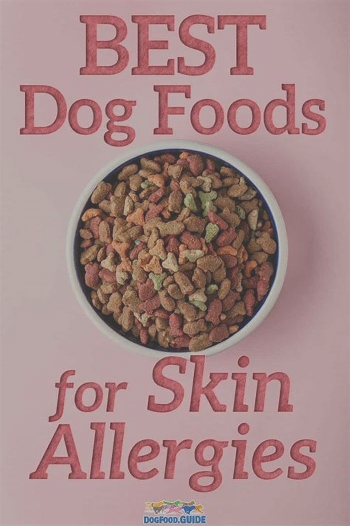 hypoallergenic dog food for skin allergies