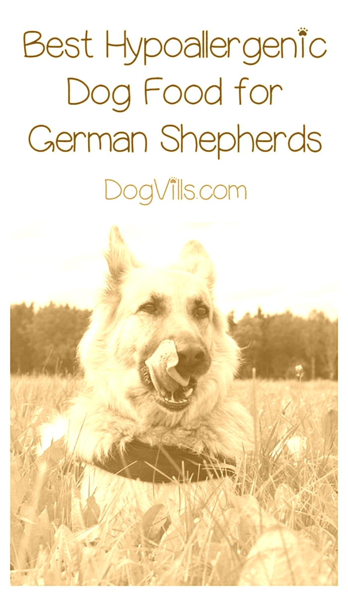 hypoallergenic german shepherd food