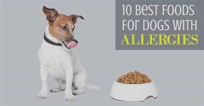 is 4health dog food good for dogs with allergies