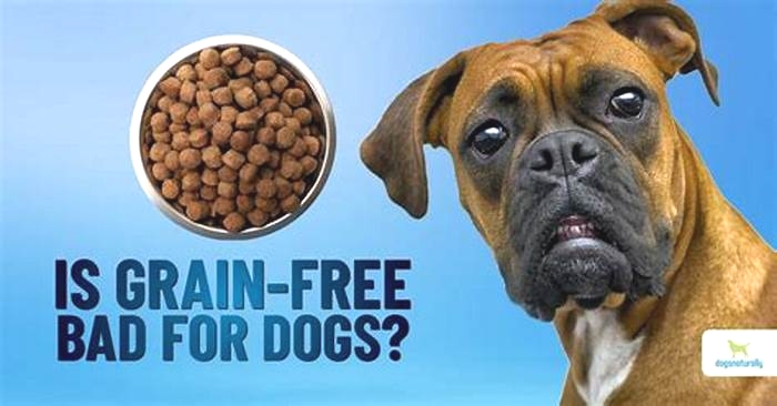 is grain free dog food bad for german shepherds