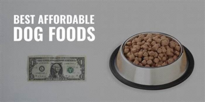 most affordable place to buy dog food