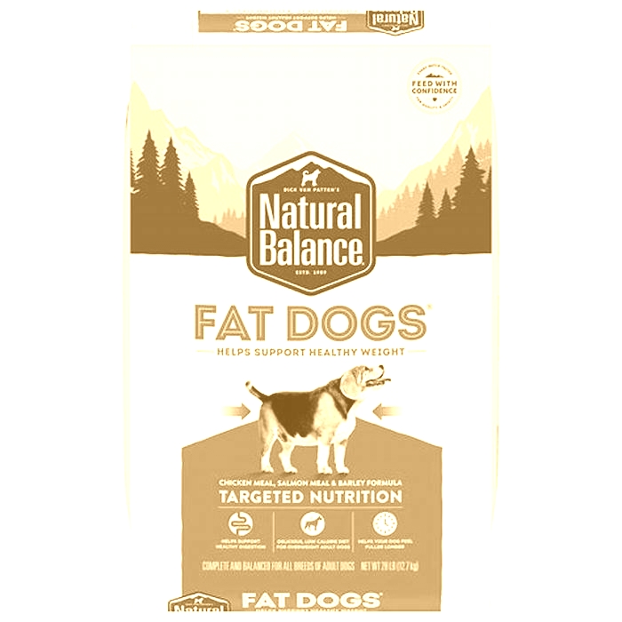 natural balance dog food in stores