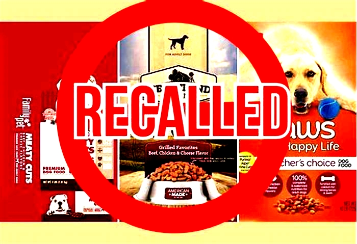 natural balance dog food recall 2022