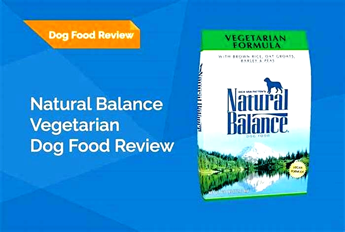 natural balance dog food recall 2023