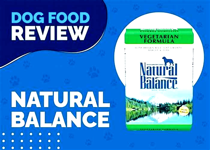 natural balance dog food recall 2024