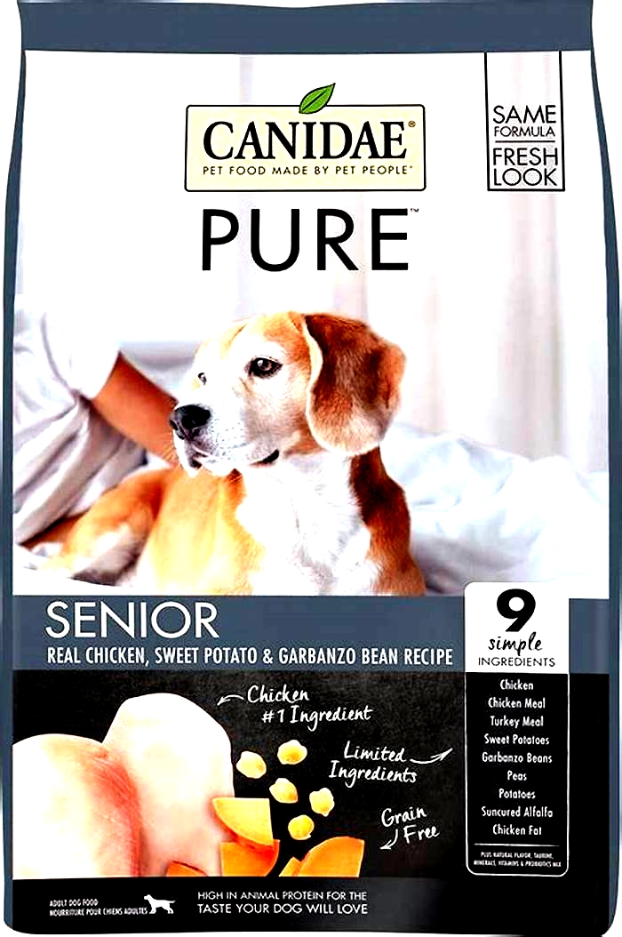 quality dog food for senior dogs