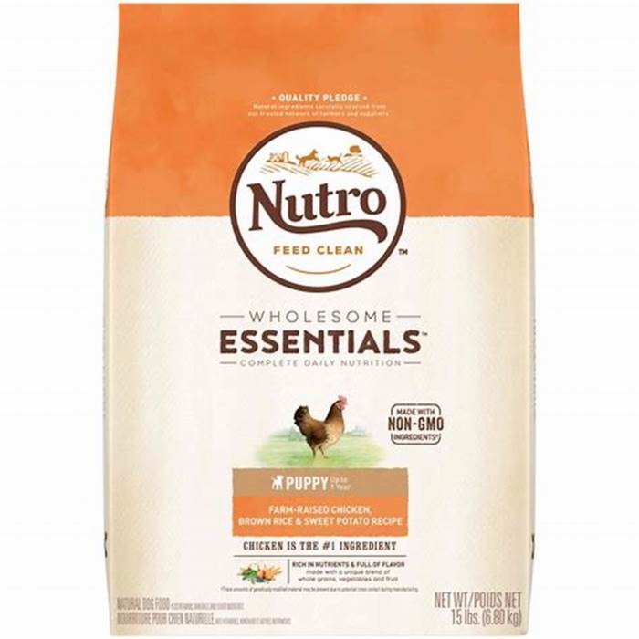 recommended dog food for dogs with allergies