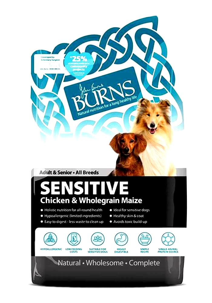 senior dog food for sensitive skin