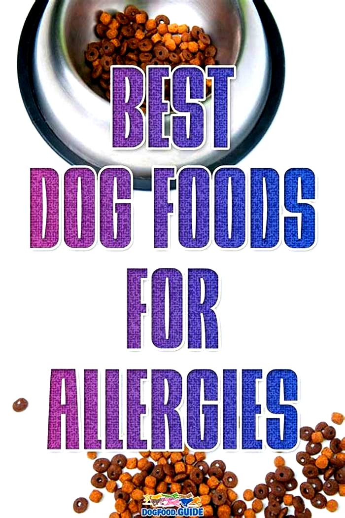 top 10 dog food for allergies