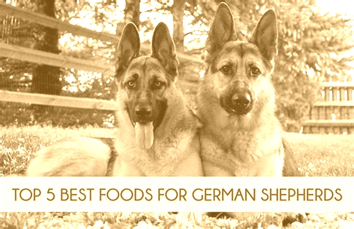 top 5 dog food for german shepherds