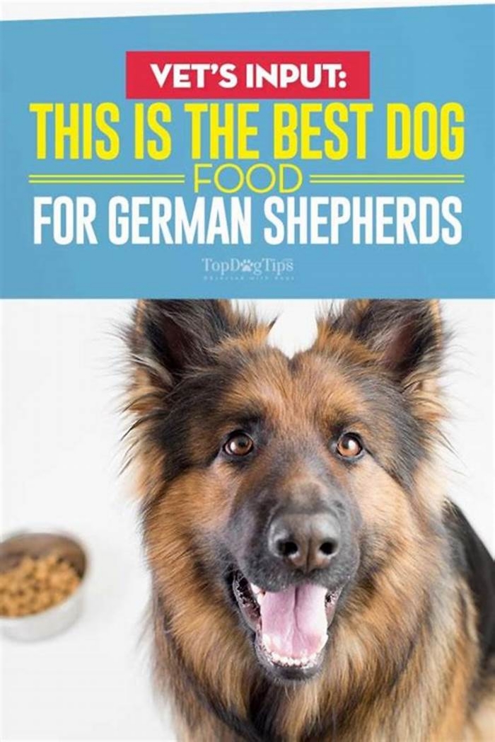 vet recommended dog food for german shepherd