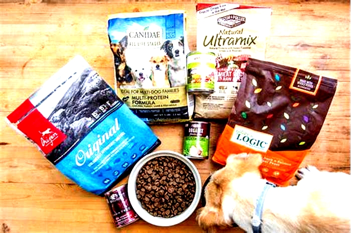 what brand of dog food is best for labs