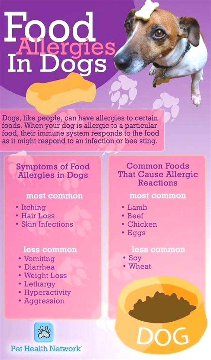 what dog food ingredients cause allergies