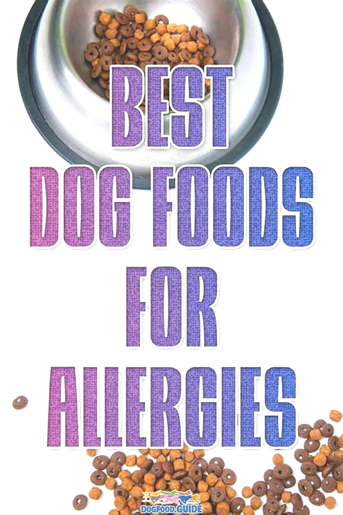 what dog food is best for dog with allergies