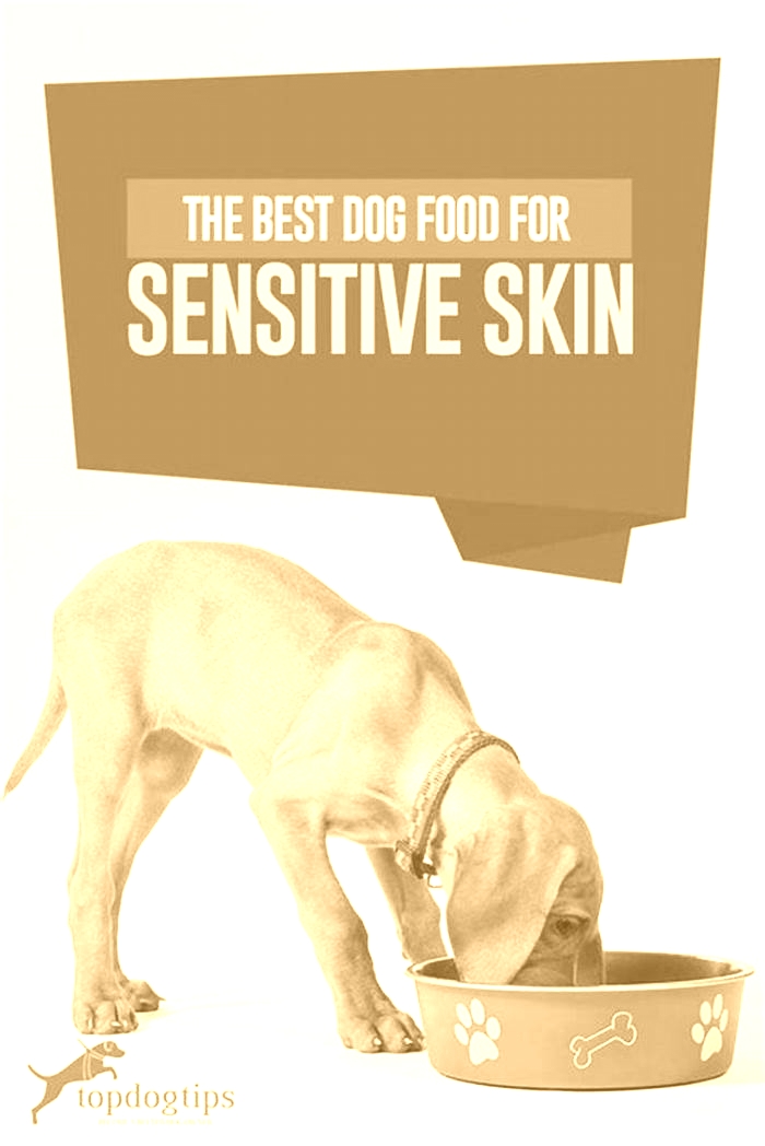 what dog food is good for dogs with sensitive skin