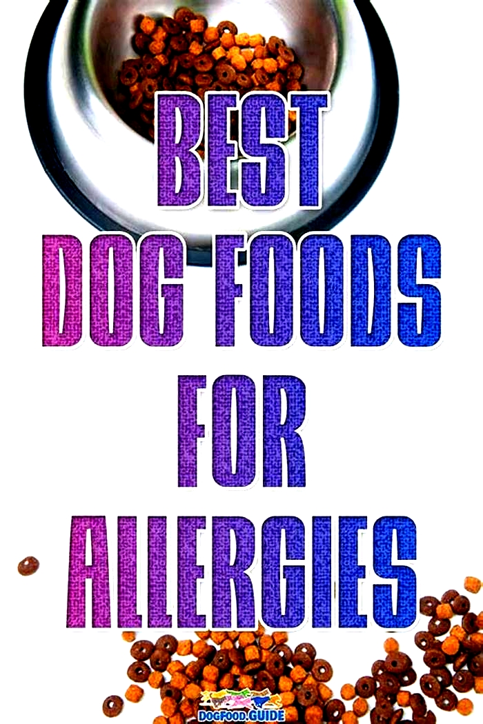 what food is good for dog allergies