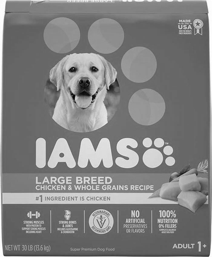 what is the best dog food for labs with allergies