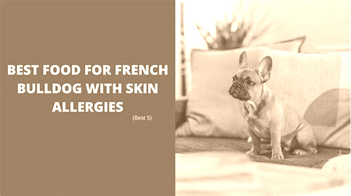 what is the best food for french bulldogs with allergies