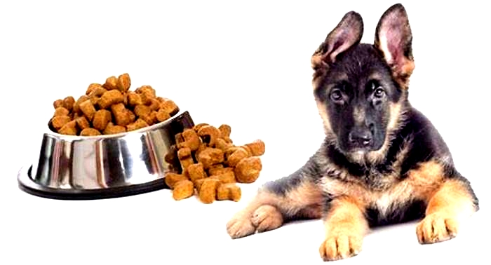 what is the best food to feed german shepherd puppies