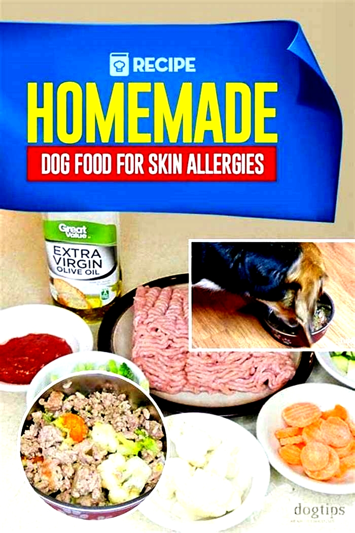 what is the best homemade dog food for allergies