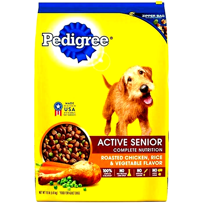 what is the healthiest dog food for senior dogs