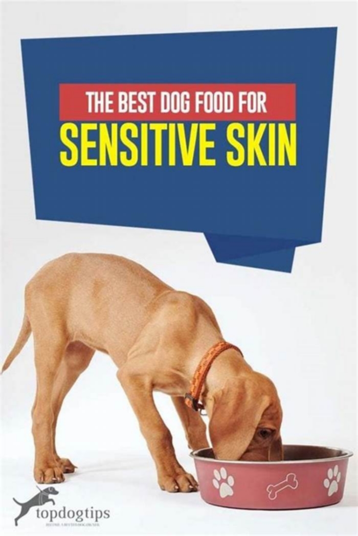 what kind of dog food is best for sensitive skin