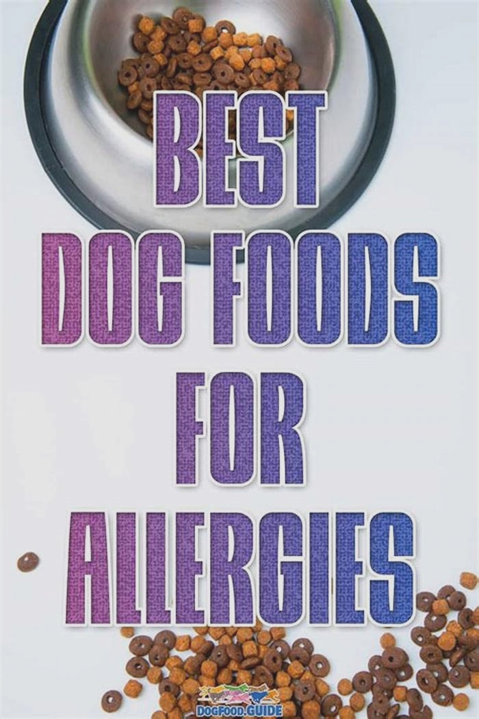 what kind of dog food is good for allergies