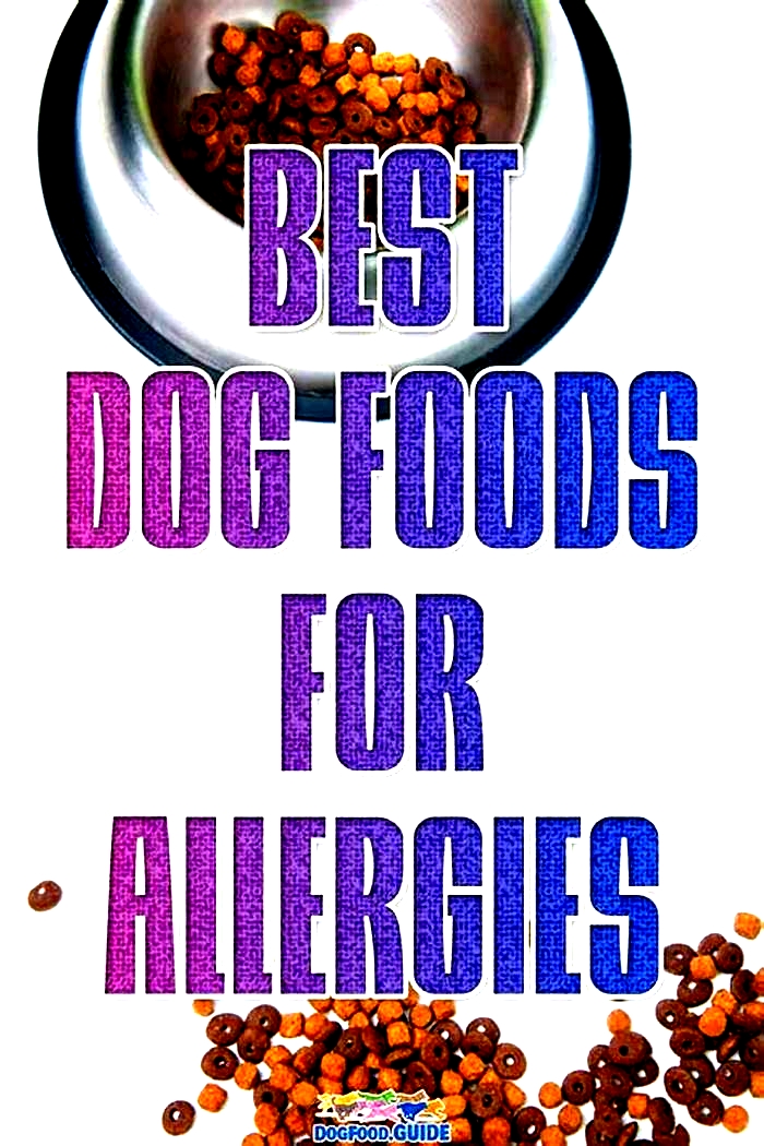 what s a good dog food for dogs with allergies