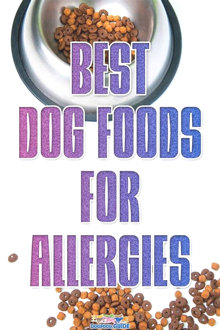 what s the best dog food for allergies