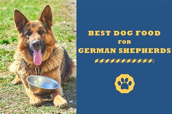 what's the best dog food to feed a german shepherd